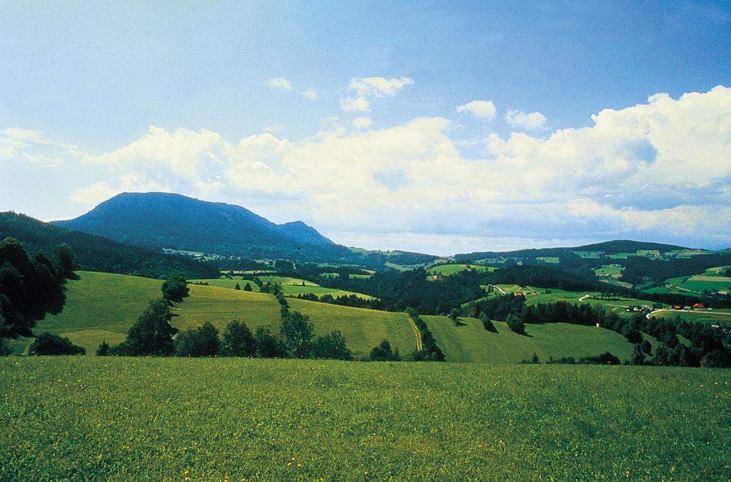 Gasthof-Hotel Jaritz Semriach 部屋 写真